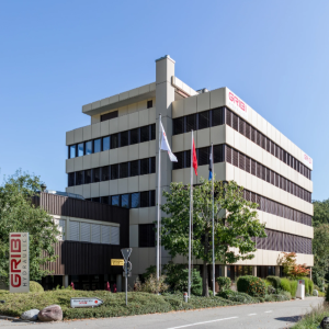 Bergdietikon